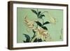 Trumpet Lilies-Hashiguchi Goyo-Framed Giclee Print