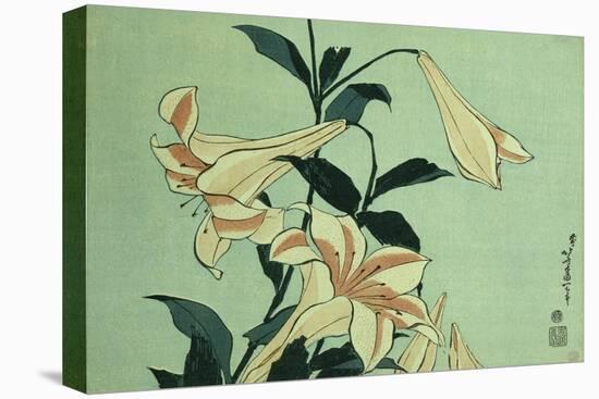Trumpet Lilies-Hashiguchi Goyo-Stretched Canvas