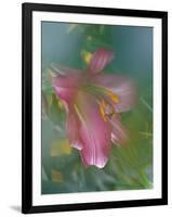 Trumpet Lily, Seattle, Washington, USA-Terry Eggers-Framed Photographic Print