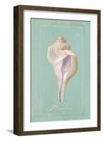 Trumpet Shell-Hardenbrook Studio-Framed Art Print
