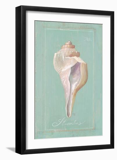 Trumpet Shell-Hardenbrook Studio-Framed Art Print