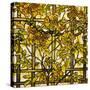 Trumpet Vine Leaded Glass Window-Tiffany Studios-Stretched Canvas