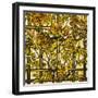 Trumpet Vine Leaded Glass Window-Tiffany Studios-Framed Giclee Print