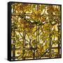 Trumpet Vine Leaded Glass Window-Tiffany Studios-Framed Stretched Canvas