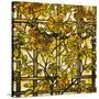 Trumpet Vine Leaded Glass Window-Tiffany Studios-Stretched Canvas