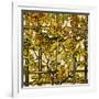 Trumpet Vine Leaded Glass Window-Tiffany Studios-Framed Giclee Print