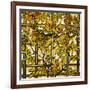 Trumpet Vine Leaded Glass Window-Tiffany Studios-Framed Giclee Print
