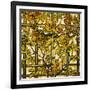 Trumpet Vine Leaded Glass Window-Tiffany Studios-Framed Giclee Print