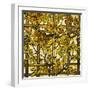 Trumpet Vine Leaded Glass Window-Tiffany Studios-Framed Giclee Print