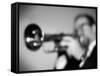 Trumpeter 2 BW-John Gusky-Framed Stretched Canvas