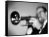 Trumpeter 2 BW-John Gusky-Framed Stretched Canvas