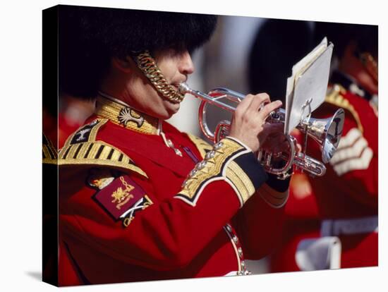 Trumpeter at Changing of the Guard, Buckingham Palace, London-John Warburton-lee-Stretched Canvas