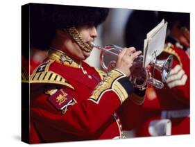 Trumpeter at Changing of the Guard, Buckingham Palace, London-John Warburton-lee-Stretched Canvas