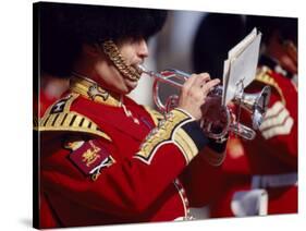 Trumpeter at Changing of the Guard, Buckingham Palace, London-John Warburton-lee-Stretched Canvas