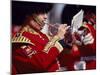 Trumpeter at Changing of the Guard, Buckingham Palace, London-John Warburton-lee-Mounted Premium Photographic Print