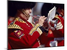Trumpeter at Changing of the Guard, Buckingham Palace, London-John Warburton-lee-Mounted Photographic Print