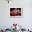 Trumpeter at Changing of the Guard, Buckingham Palace, London-John Warburton-lee-Framed Photographic Print displayed on a wall