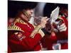 Trumpeter at Changing of the Guard, Buckingham Palace, London-John Warburton-lee-Mounted Photographic Print