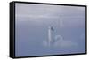 Trumpeter Swan (Cygnus Buccinator) Pair in Ice Fog-Lynn M^ Stone-Framed Stretched Canvas