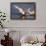 Trumpeter Swan (Cygnus Buccinator)-Lynn M^ Stone-Framed Photographic Print displayed on a wall