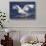 Trumpeter Swan (Cygnus Buccinator)-Lynn M^ Stone-Stretched Canvas displayed on a wall