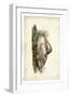 Trumpeter Swan II-John James Audubon-Framed Art Print