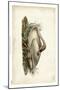 Trumpeter Swan II-John James Audubon-Mounted Art Print