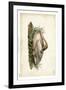 Trumpeter Swan II-John James Audubon-Framed Art Print