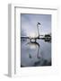 Trumpeter Swan in Shallow Water-W. Perry Conway-Framed Photographic Print