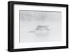 Trumpeter swan taking off, Yellowstone, Wyoming, USA-George Sanker-Framed Photographic Print