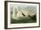 Trumpeter Swan-John James Audubon-Framed Giclee Print