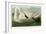 Trumpeter Swan-John James Audubon-Framed Giclee Print