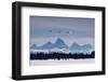 Trumpeter swans on the Harriman Ranch in Idaho with the Tetons in the background-Howie Garber-Framed Photographic Print