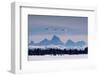 Trumpeter swans on the Harriman Ranch in Idaho with the Tetons in the background-Howie Garber-Framed Photographic Print