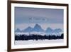 Trumpeter swans on the Harriman Ranch in Idaho with the Tetons in the background-Howie Garber-Framed Photographic Print