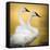 Trumpeter Swans, Yellowstone National Park, Wyoming-Maresa Pryor-Framed Stretched Canvas