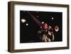 Trumpeter Wynton Marsalis Playing at the Village Vanguard Jazz Club-Ted Thai-Framed Photographic Print