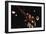 Trumpeter Wynton Marsalis Playing at the Village Vanguard Jazz Club-Ted Thai-Framed Photographic Print