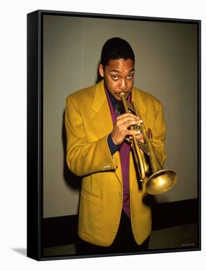 Trumpeter Wynton Marsalis Playing His Horn-null-Framed Stretched Canvas