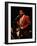 Trumpeter Wynton Marsalis-null-Framed Photographic Print