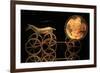 Trundholm Sun Chariot, Bronze Age-Detlev Van Ravenswaay-Framed Photographic Print