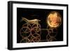 Trundholm Sun Chariot, Bronze Age-Detlev Van Ravenswaay-Framed Photographic Print