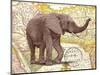 TRUNK #1-R NOBLE-Mounted Art Print