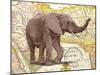 TRUNK #1-R NOBLE-Mounted Art Print