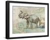 TRUNK #2-R NOBLE-Framed Art Print