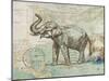 TRUNK #2-R NOBLE-Mounted Art Print