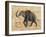 TRUNK #3-R NOBLE-Framed Art Print