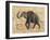 TRUNK #3-R NOBLE-Framed Art Print