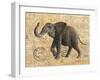 TRUNK #3-R NOBLE-Framed Art Print