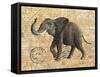 TRUNK #3-R NOBLE-Framed Stretched Canvas